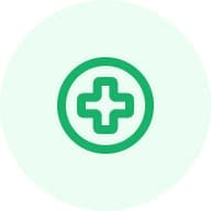 Healthcare Icon